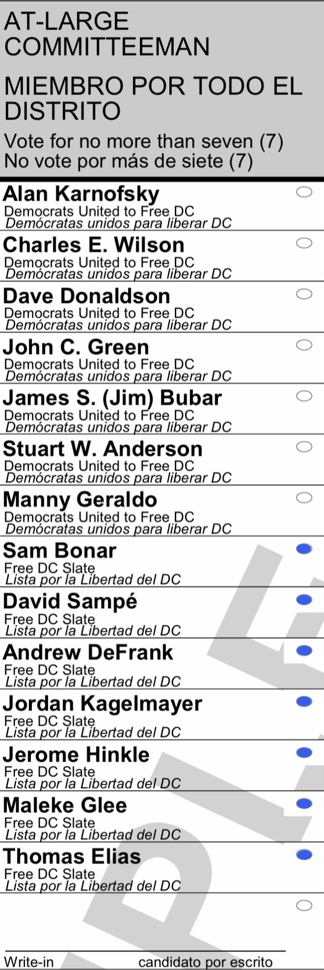 At-Large Committeeman
